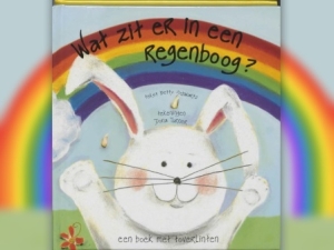 De regenboog